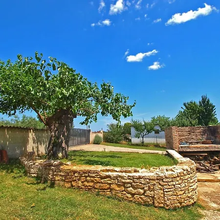 Fuer 2 Personen Ca 30 Qm In Fazana, Istrien Istrische Riviera Apartment